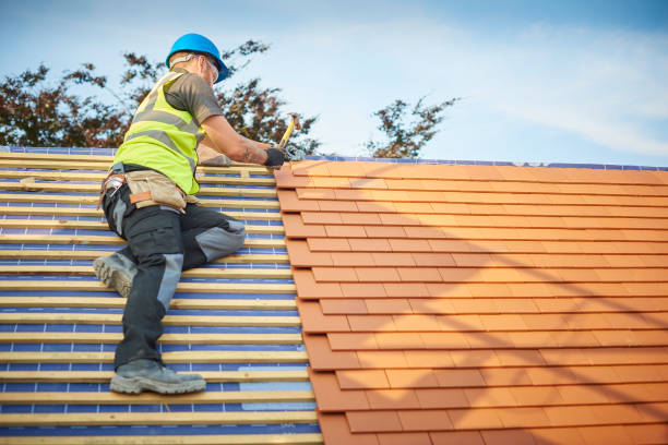 Best Roof Maintenance and Cleaning  in Yorkvle, IL